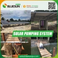 380v 400v 415v 440v AC solar power submersible water pump irrigation system