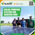 Bluesun 15HP solar agriculture water pump system for African market
