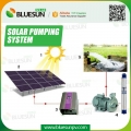 Bluesun 3phase AC Solar Panels With Solar Powered Water Pump For Irrigation