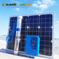 Complete Set Solar Pump DC 110V 1100W Solar Powered Submersible Water Pump in Kenya
