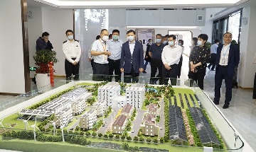 Vice Governor Zhang Xi brought the customs director of the Provincial Department of Commerce, the head of the Shushan District and leaders of various departments to visit Bluesun Solar.
