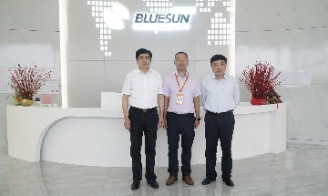 The Director Of Qinghai Provincial Department Of Commerce Came To Visit Bluesun Solar