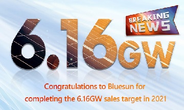 Congratulations！Bluesun completed the 6.16GW Shipment Capacity