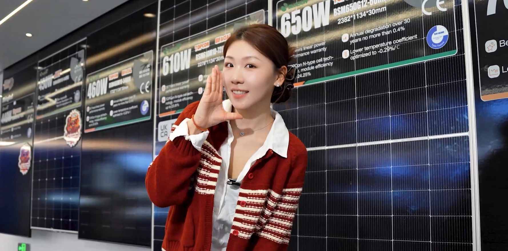 Bluesun Expands Global Energy Storage Solutions