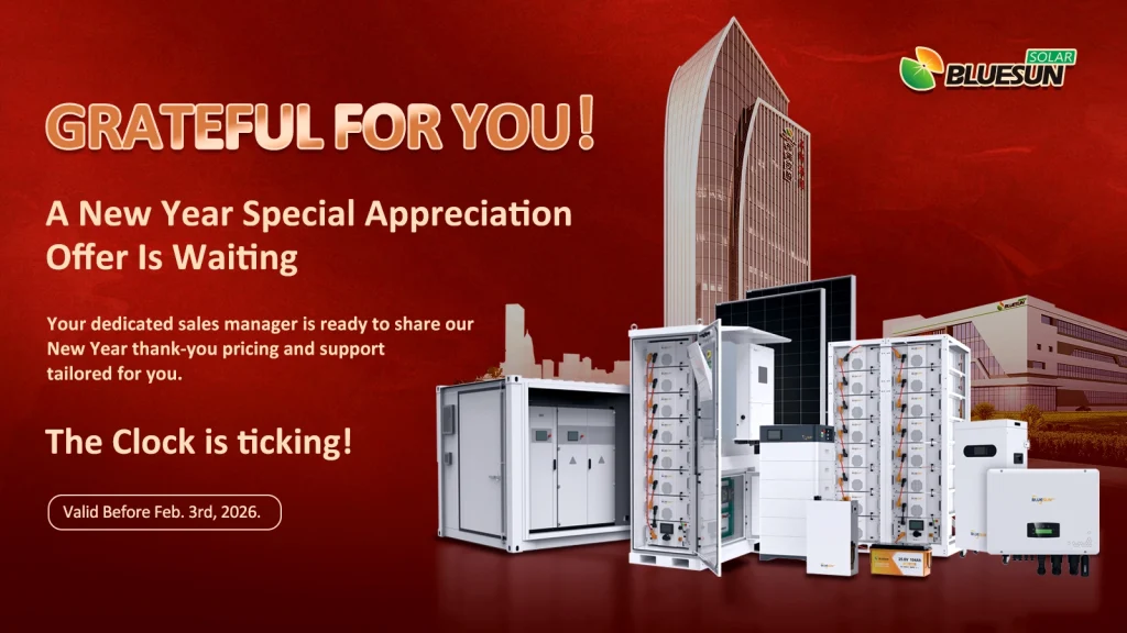 BLUESUN New Year Special Offer